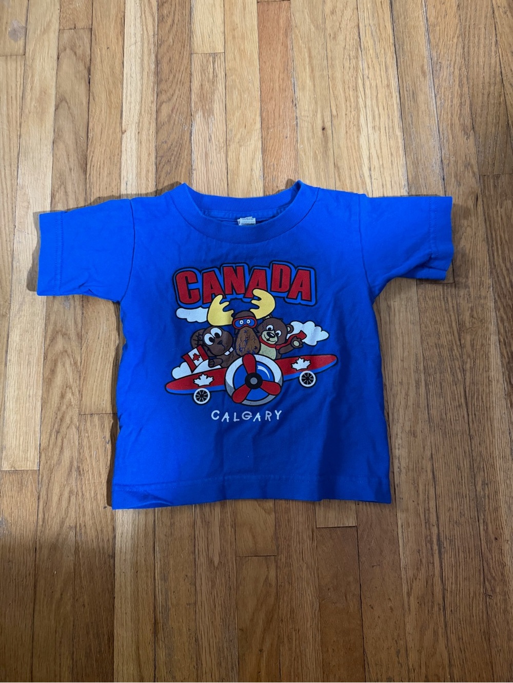 Vintage ALstyle 2T Calgary Canada Tee